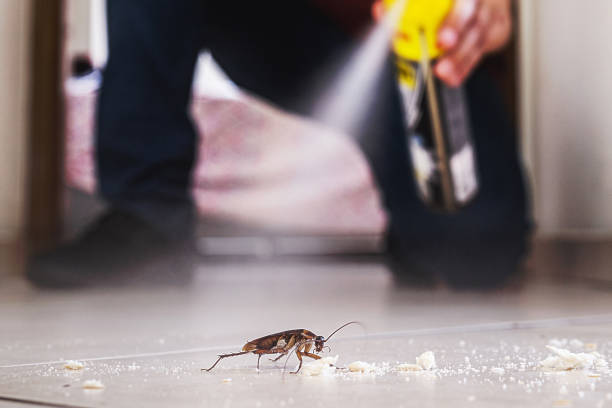 Best Pest Control for Restaurants  in San Rafael, NM